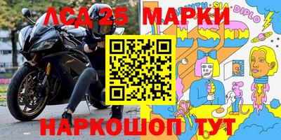 прущие грибы Усть-Джегута