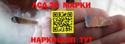 прущие грибы Усть-Джегута