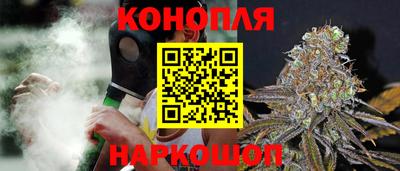 прущие грибы Усть-Джегута