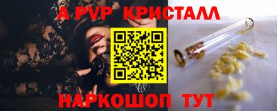 прущие грибы Усть-Джегута