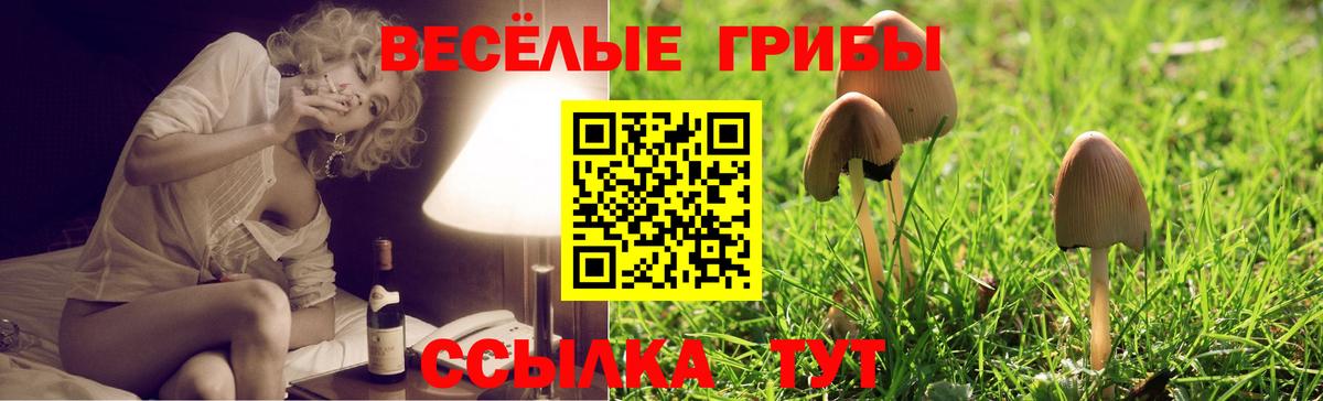 Галлюциногенные грибы MAGIC MUSHROOMS  Вход с VPN  Псилоцибиновые грибы Cubensis  Батайск 